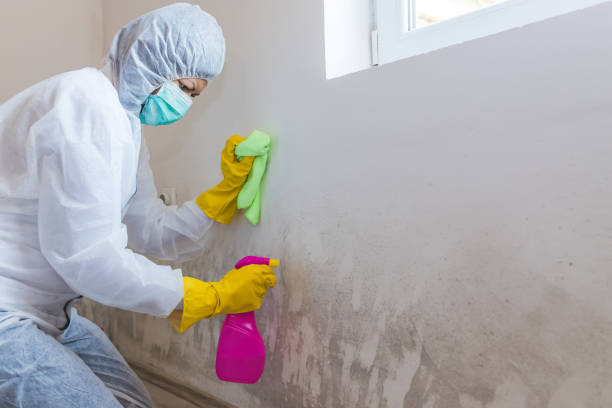 Best Mold Remediation for Rental Properties  in Crugers, NY